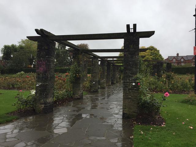 美國布魯克斯大學博士國家承認嗎