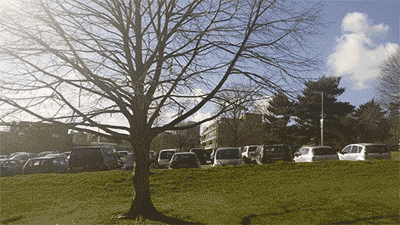 該不該去切斯特大學(xué)讀本科?