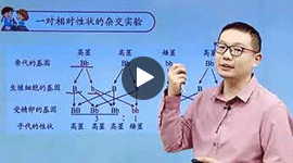 高一生物下必修2課程