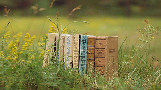 輕化工專業(yè)從事什么工作好