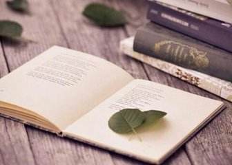 美國最好的公立大學有哪些學校