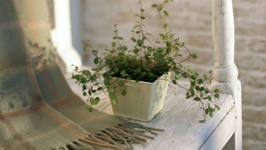 工程博士和普通博士的區別