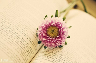 電氣類哪些專業好就業