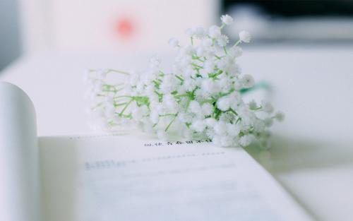 電力專業(yè)有什么專業(yè)