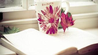 北京郵電大學(xué)自考本科專業(yè)有哪些