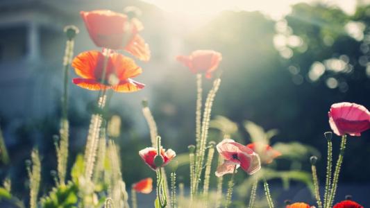 核工程類專業哪個前景比較好就業