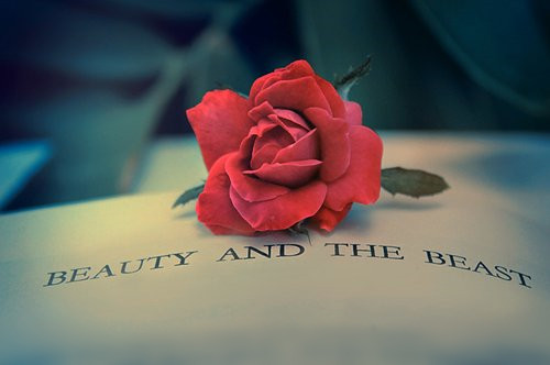 本科交通運輸類專業包括哪些專業