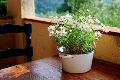 資產評估專業碩士考試科目有哪些內容