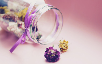 蘇州大學(xué)專升本英語(yǔ)考試難嗎考什么