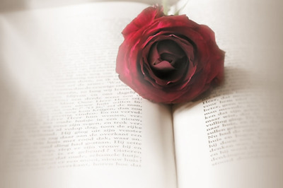 在職研究生和全日制有啥區(qū)別